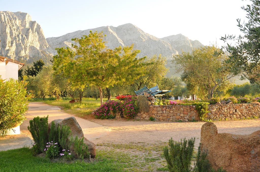 Agriturismo Guthiddai โอเลียนา ภายนอก รูปภาพ